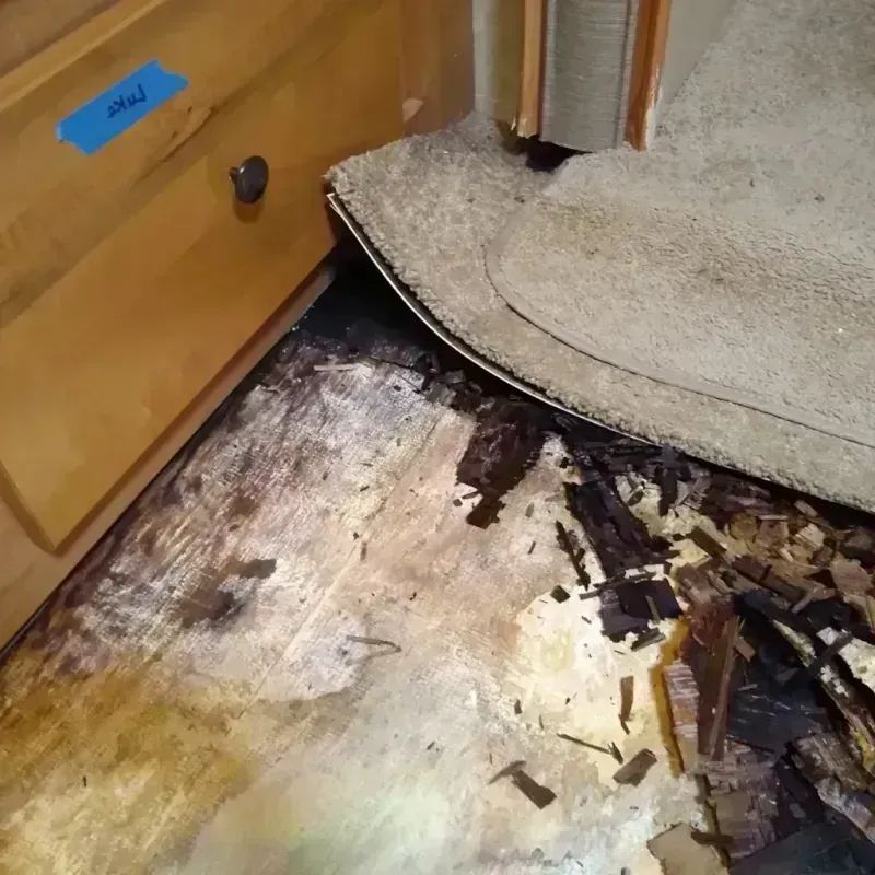 Wood Floor Water Damage in Owings Mills, MD